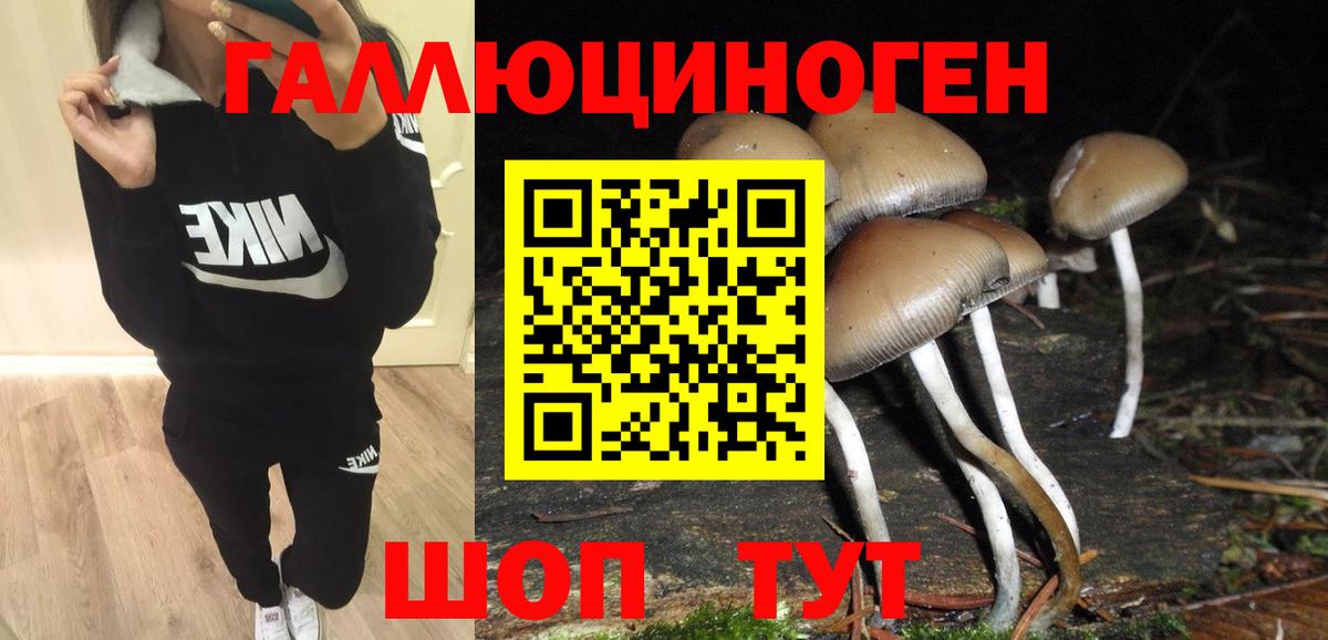 Галлюциногенные грибы прущие грибы  Вход с VPN  Рассказово 